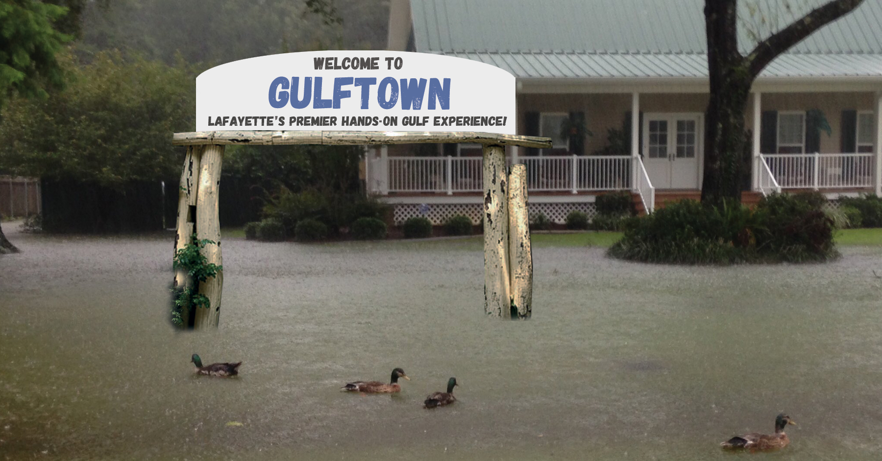 SURPRISE: Lafayette Unveils ‘Gulftown’, New City-Wide, Hands-On Aquarium Experience
