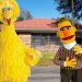 Big Bird Ditches Vaccine Promotion To Warn People About Dangers Of New Iberia
